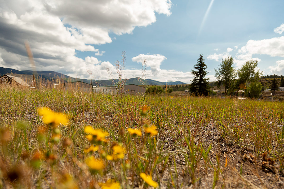 Largest Commercial Plot of Land in Creede